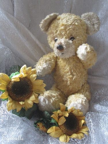 ♫ PELUCHE Vieil OURS "Mallain", Teddy Bear Antique, COLLECTION d'OURS Anciens ♫