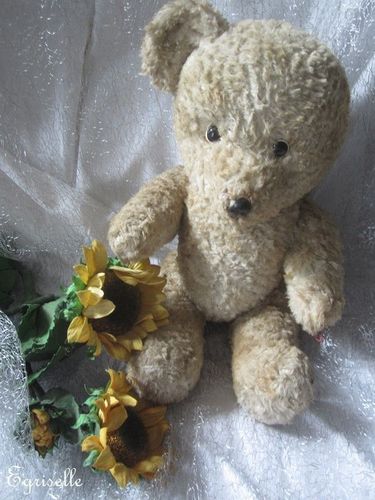 ♫ PELUCHE Vieil OURS "TiP'ToP", Teddy Bear Antique, COLLECTION d'OURS Anciens ♫