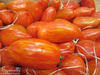 Tomate Allongée Orange Rouge Zébrée *** 10 Graines proposées ***