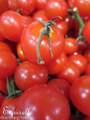Tomate Cerise Falcorosso *** 10 Graines proposées ***