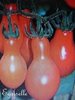 Tomate Gros Fruits Red Pear Tomato *** 10 Graines proposées ***