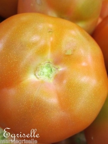 Tomate Fruits Moyens Orange Fleshed S *** 8 Graines proposées ***