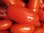 Tomate Allongée Principe Borghese *** 12 Graines proposées ***