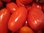 Tomate Allongée Rio Grande *** 12 Graines proposées ***