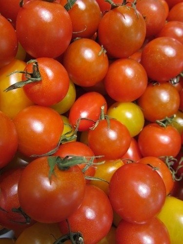 Tomate Cerise Garden Pearl *** 10 Graines proposées ***