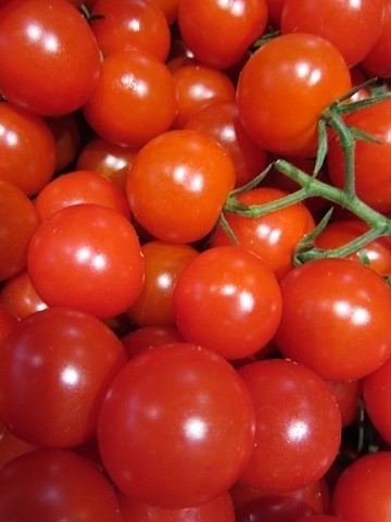 Tomate Cerise Red Albert  *** 10 Graines proposées ***