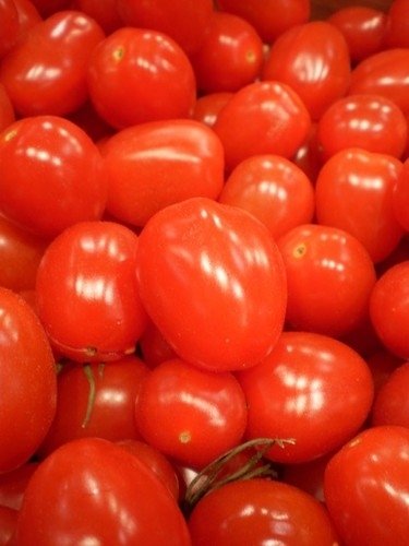 Tomate Cerise Large Red Cherry  *** 10 Graines proposées ***