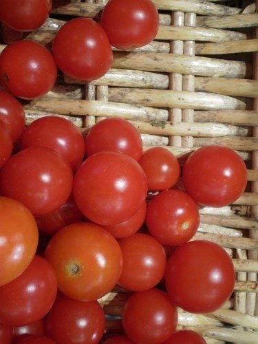 Tomate Fruits Moyens Mélange  *** 10 Graines proposées ***