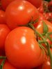 Tomate Fruits Moyens Matina  *** 10 Graines proposées ***