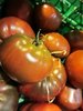 Tomate Fruits Moyens Pantano Romanesco *** 10 Graines proposées ***