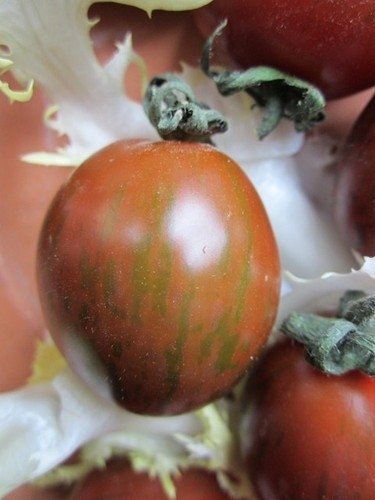 Tomate Fruits Moyens Roman Striped  *** 10 Graines proposées ***