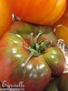 Tomate Gros Fruits Cherokee Purple *** 10 Graines proposées ***