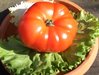 Tomate Gros Fruits Beefsteak *** 8 Graines proposées ***