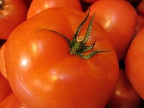 Tomate Gros Fruits Burpee Délicious *** 8 Graines proposées ***