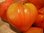 Tomate Gros Fruits Coeur de Boeuf *** 10 Graines proposées ***
