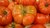 Tomate Gros Fruits Marmande *** 8 Graines proposées ***