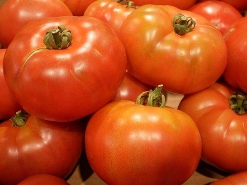 Tomate Gros Fruits Red Pear *** 10 Graines proposées ***