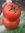 Tomate Gros Fruits Mélange *** 8 Graines proposées ***