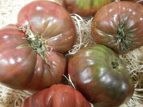 Tomate Gros Fruits Mélange *** 8 Graines proposées ***