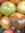 TOMATE Petits FRUITS 'Primary Colors' 10 Graines proposées