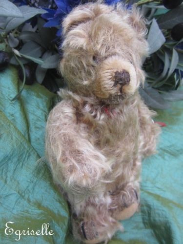 ♫ PELUCHE Vieil OURS "Mini'Ni", Teddy Bear Antique, COLLECTION d'OURS Anciens ♫
