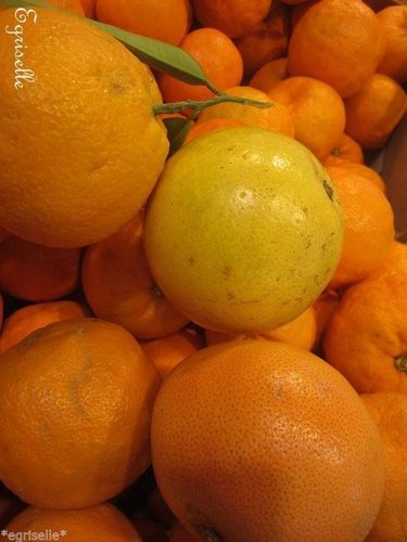 ♫ AGRUME : "Doux Mélange Fruitier" - Citrus ♫ 8 Pépins Proposés ♫ Beaux Fruits Gustatifs ♫