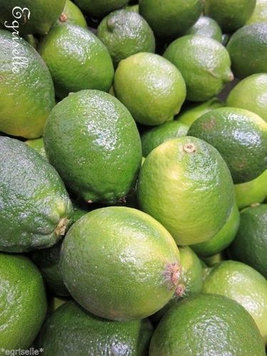 ♫ CITRONNIER Vert LIME de TAHITI - Citrus latifolia ♫ 3 Pépins Proposés ♫