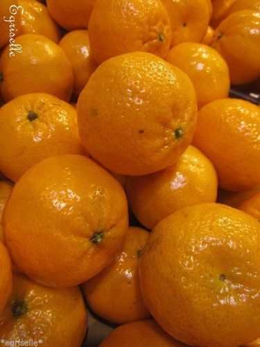 ♫ CLEMENTINIER - Citrus clementina ♫ 5 Pépins Proposés ♫