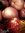 ♫ AUBERGINE 'Lao Lavender' - Solanum melongena ♫ 12 Graines Proposées ♫