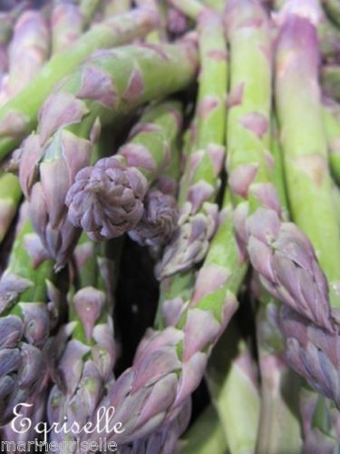 ♫ ASPERGE 'Martha Washington' -Asparagus ♫ 12 Graines Proposées ♫
