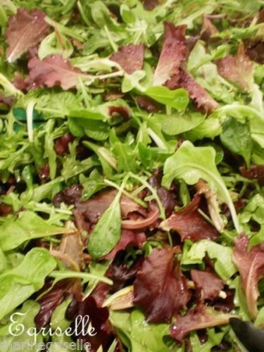 ♫ MESCLUN : Graines Salade 'tout Mélange Mélangé' ♫ 80 Graines ♫